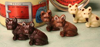 animals