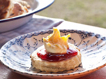 Cream Cherrie Tart